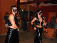 disco program